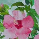 Vető Orsolya - Mary's hibiscus